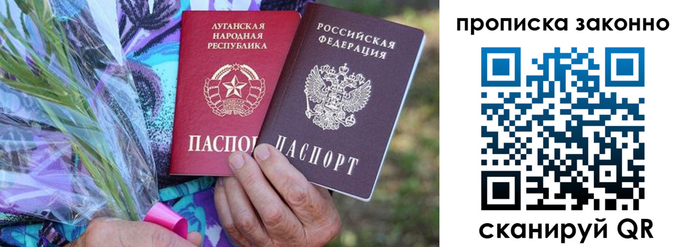 прописка для школы в Вольске
